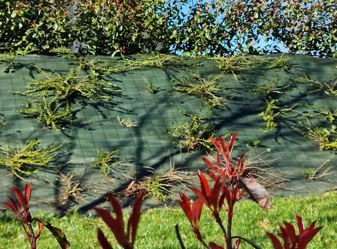 Complejo Rural El Cerradon Alceda